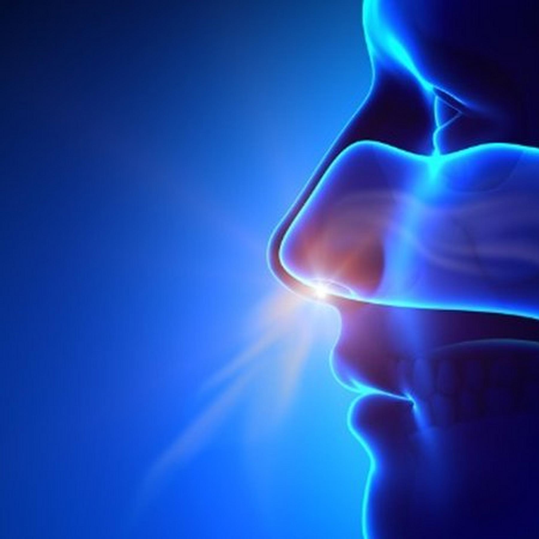 The Benefits of Nose Breathing: Top 4 Reasons You Shouldn't Be a Mouth-Breather